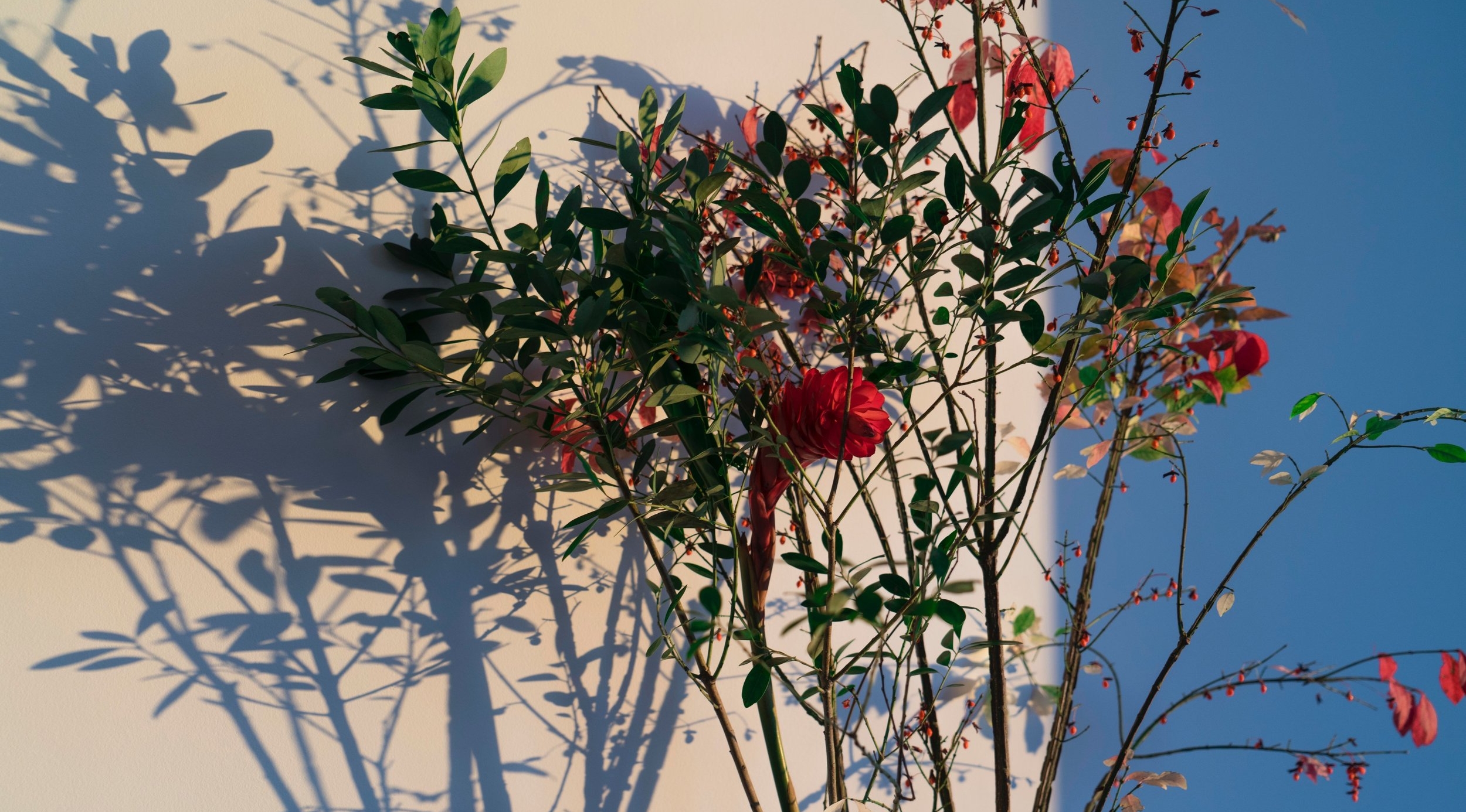 thought-catalog-164625-unsplash copy.jpg
