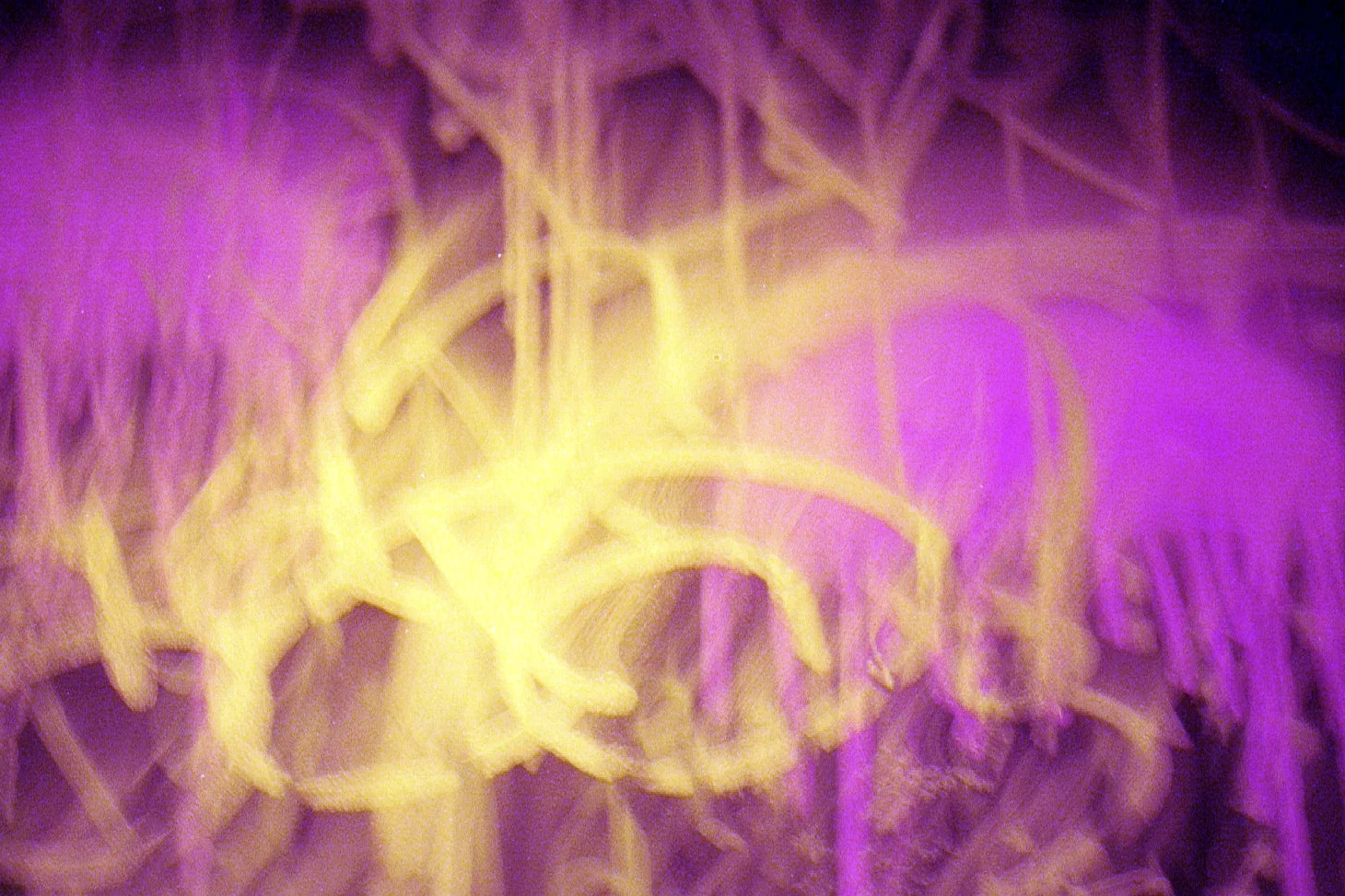 d0015_15.jpg