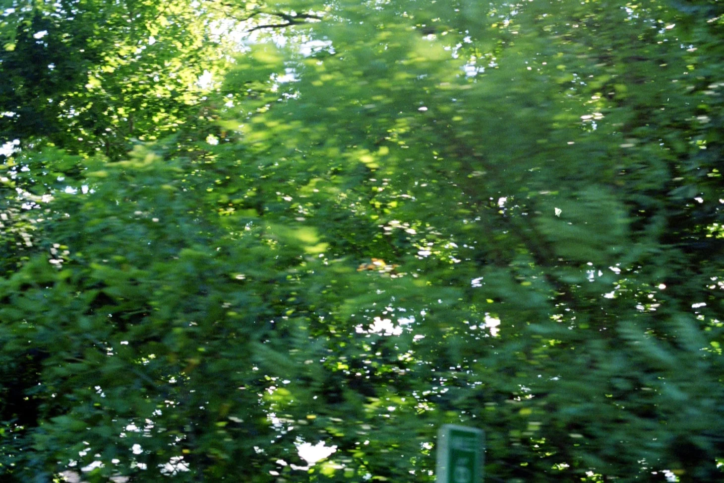 b0019_19.jpg