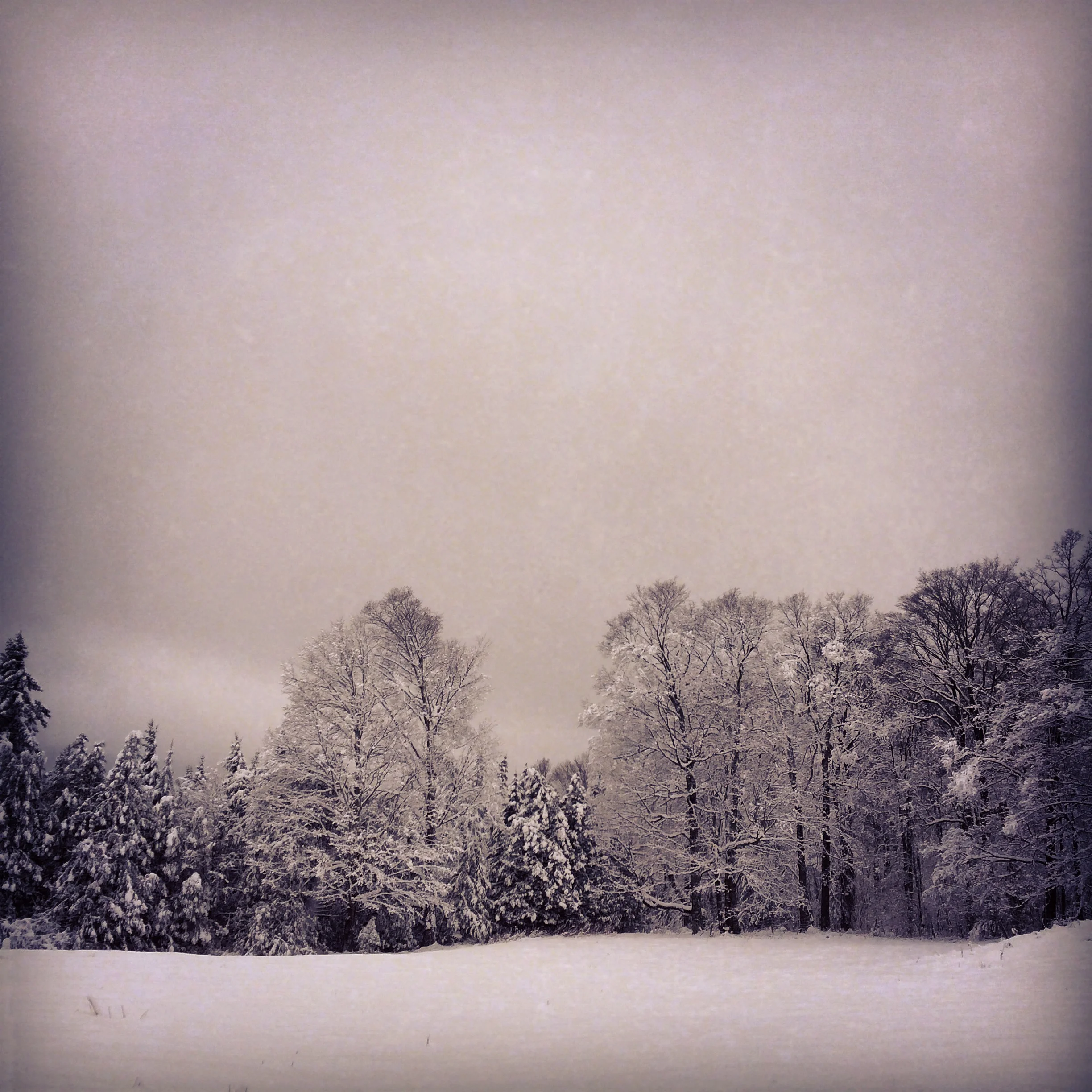 New Year’s Sequence #1: Cold, stiff, and halfway dead