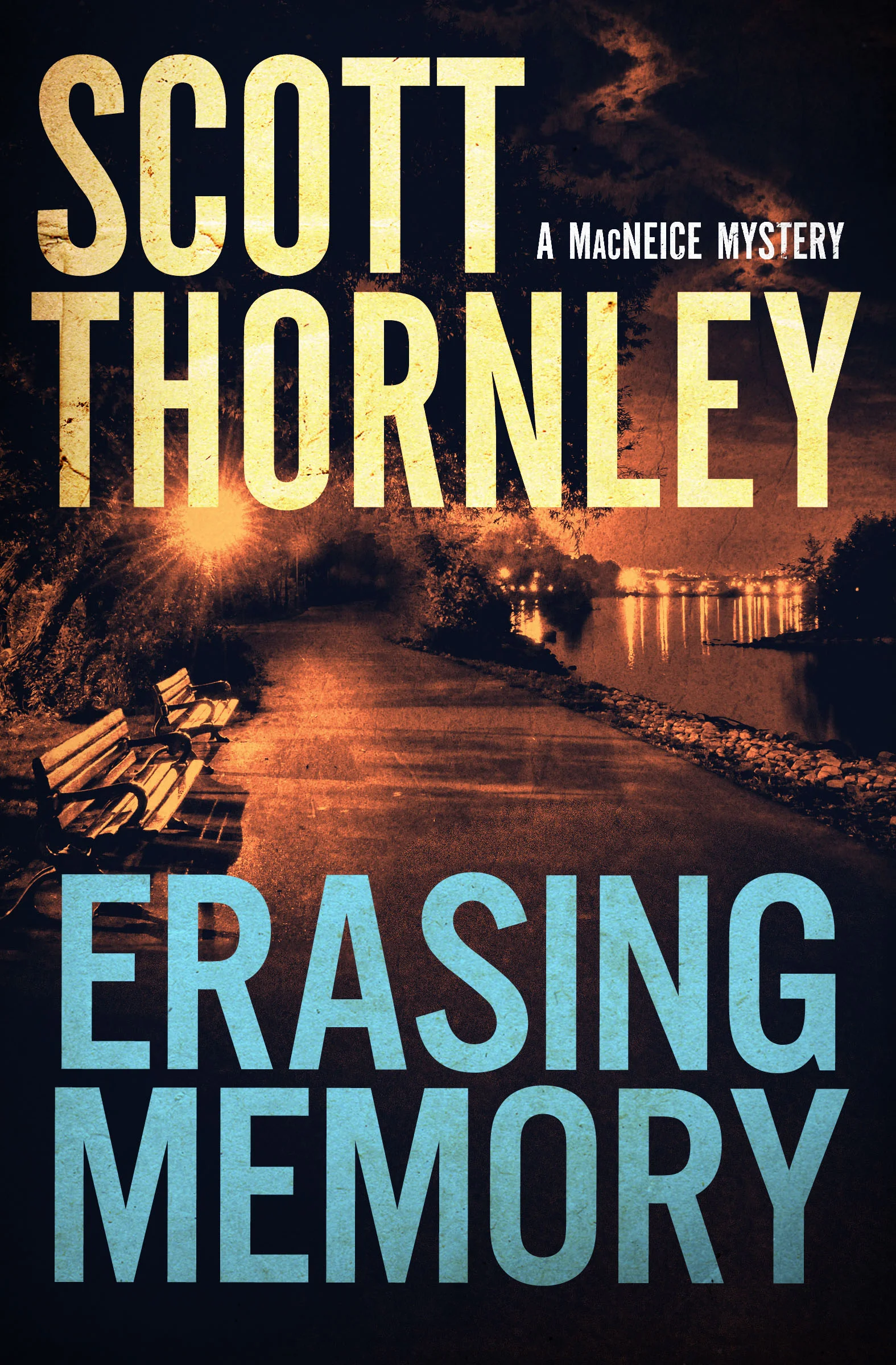 Erasing Memory Cover.jpg