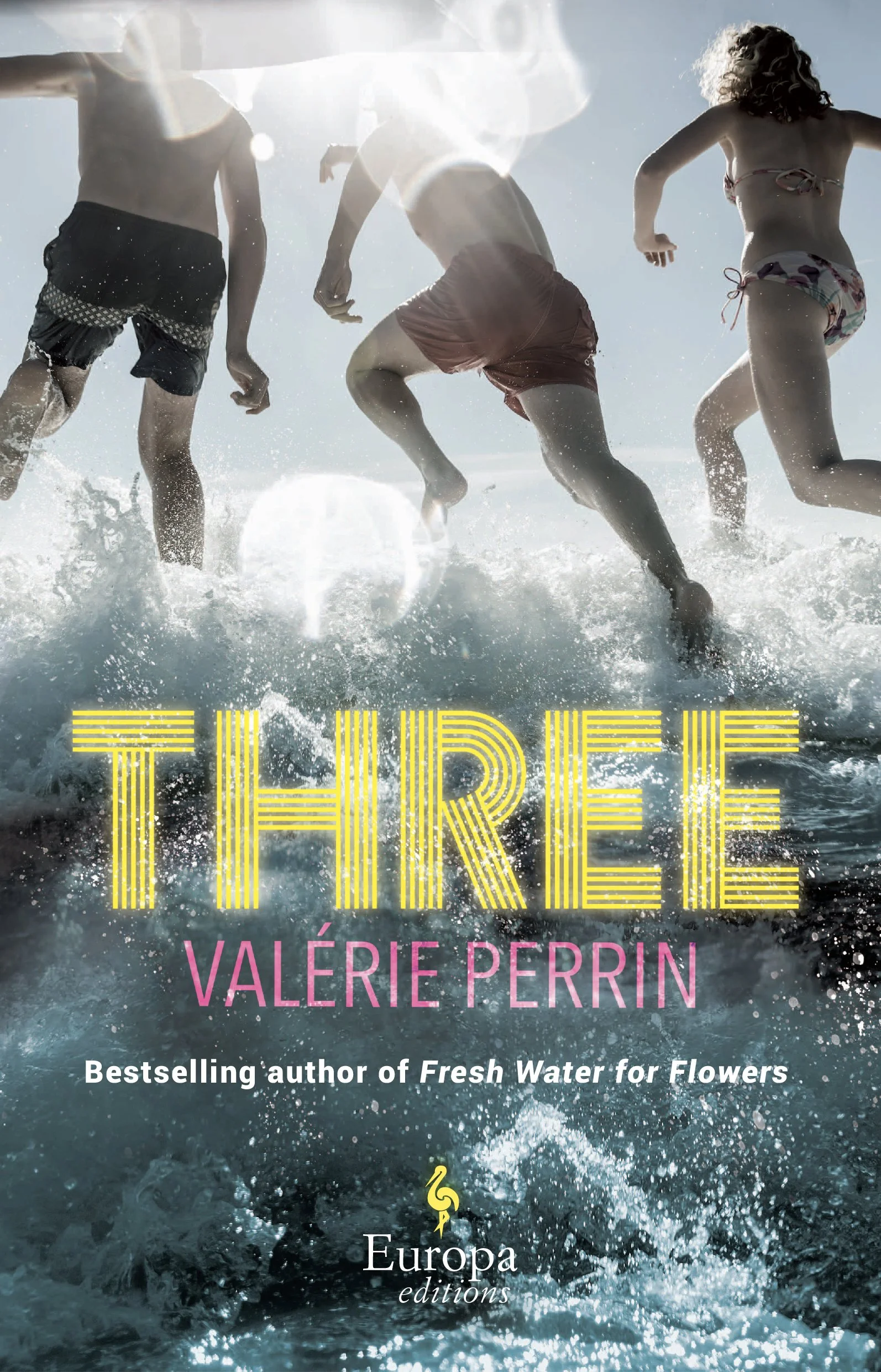 Three by Valérie Perrin — Parry Sound Books