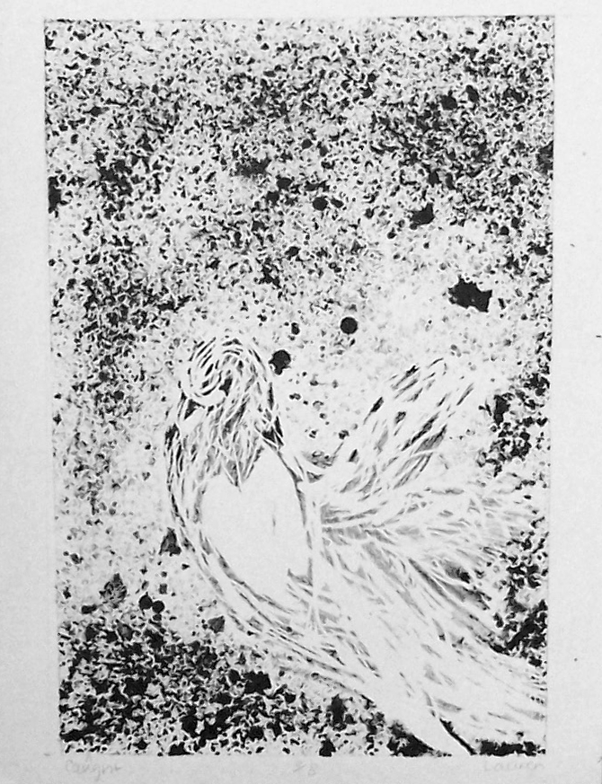 bird1.png