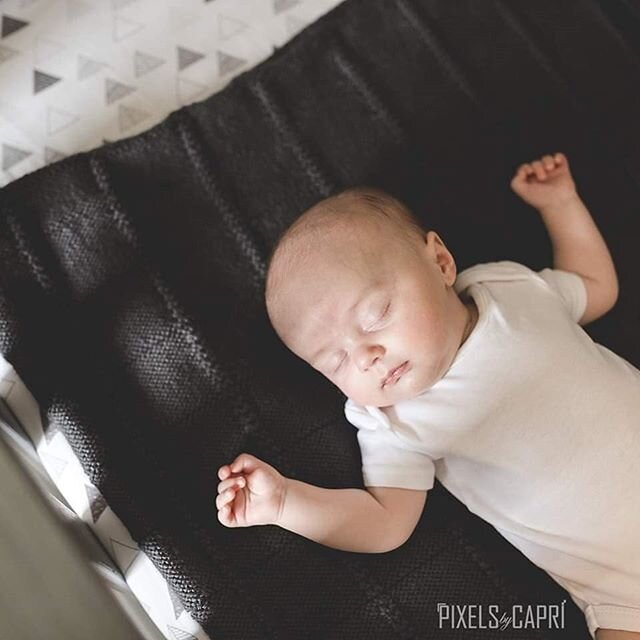 Last weekend I did my first lifestyle session since before covid and man it felt good. I drove all the way to Calgary for it and it was worth the journey!

Even at 9 weeks, Caleb did so awesome for his session! (And by the way, this little cutie is m