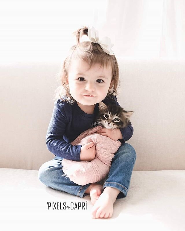 Me kids absolutely love when I do photos of kitties from @zoesanimalrescue. They're both such crazy animal lovers (just like they're parents haha) #kittiesofinstagram