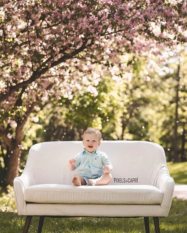 Oh my gosh I wish the blossoms were around forever!! But I am getting excited for sunflower minis 😍