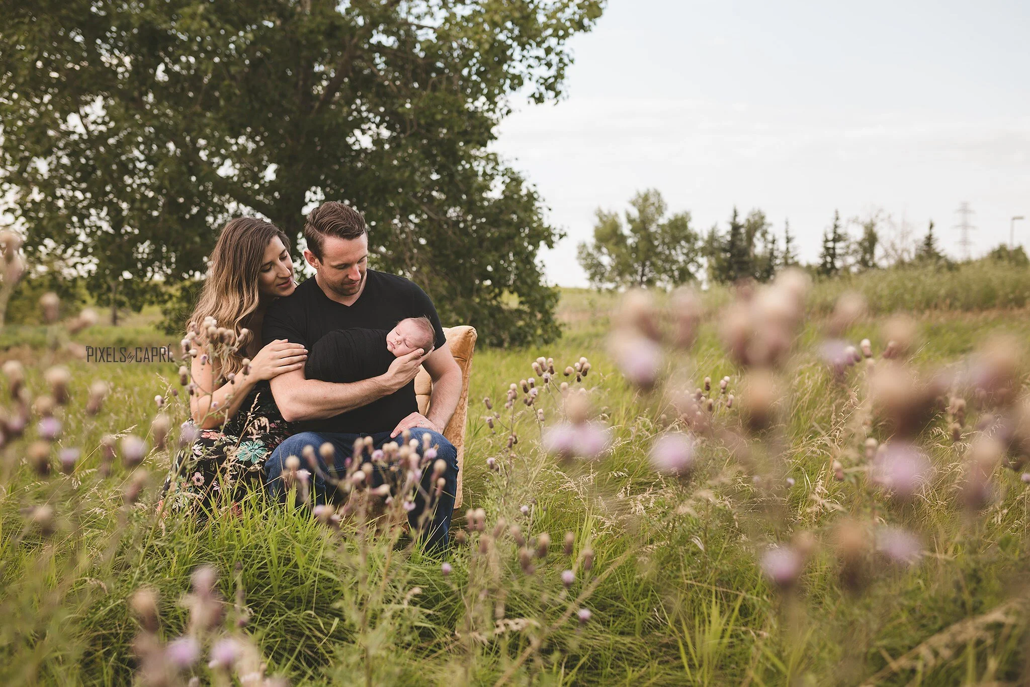 Pixels by Capri  Family .jpg