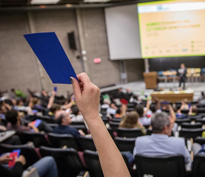 L'École d'été 2014, en quelques photos