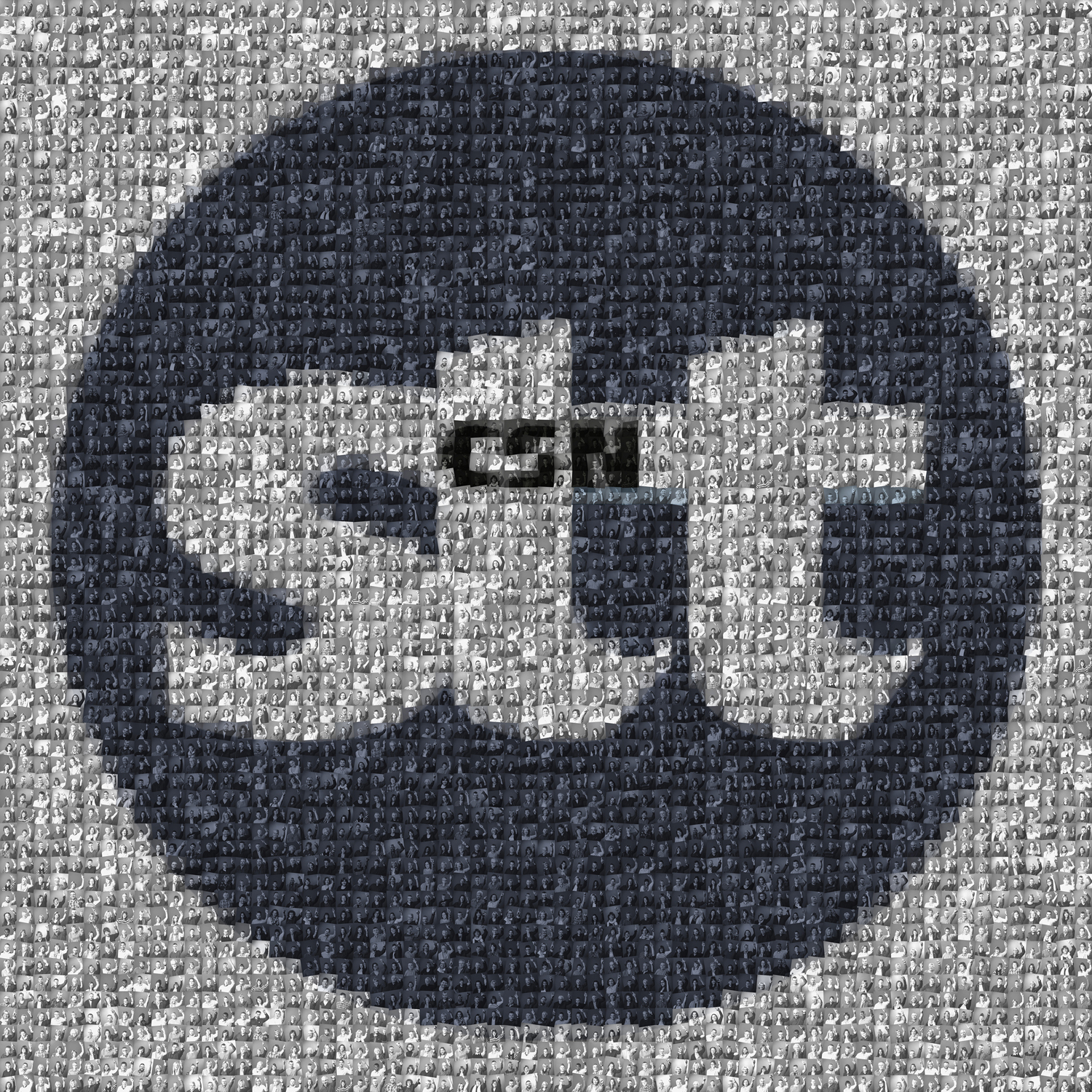 Avec nos photos, le logo de la STTCSN a été généré.