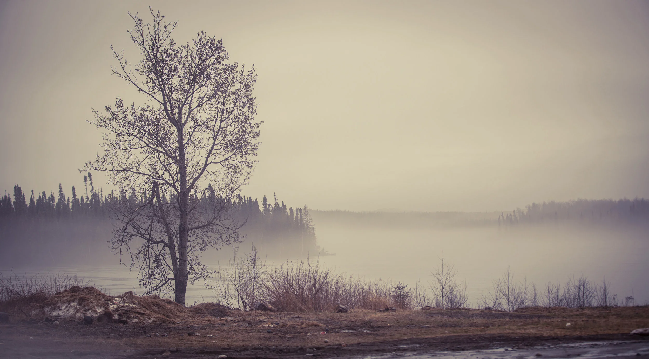 banner-waswanipi-alexandre-claude-cree-cri-north.jpg