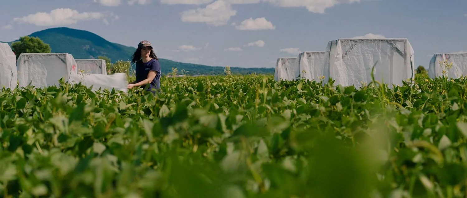 CEROM-montreal-production-video-corporatif-entrerprise-agricole.jpg