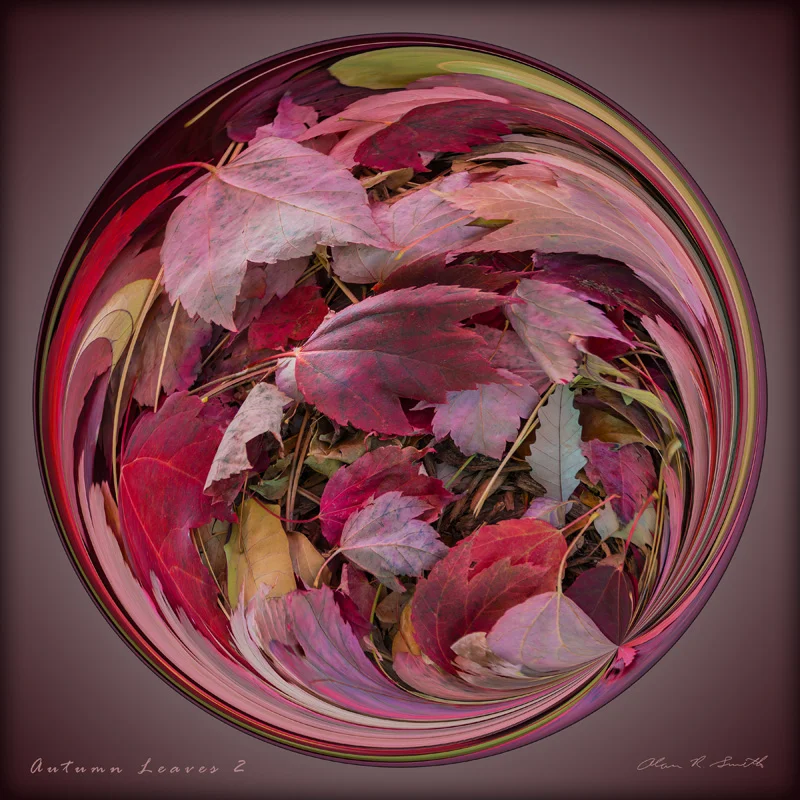 Autumn Leaves 2