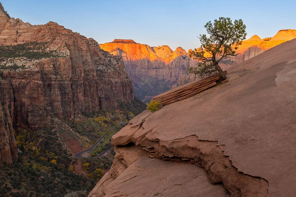 Clinging On