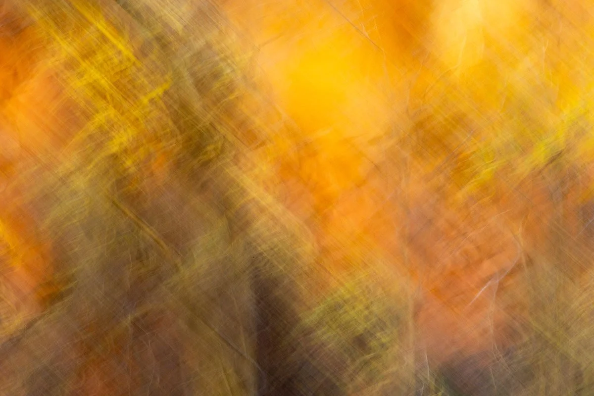 Great Sway