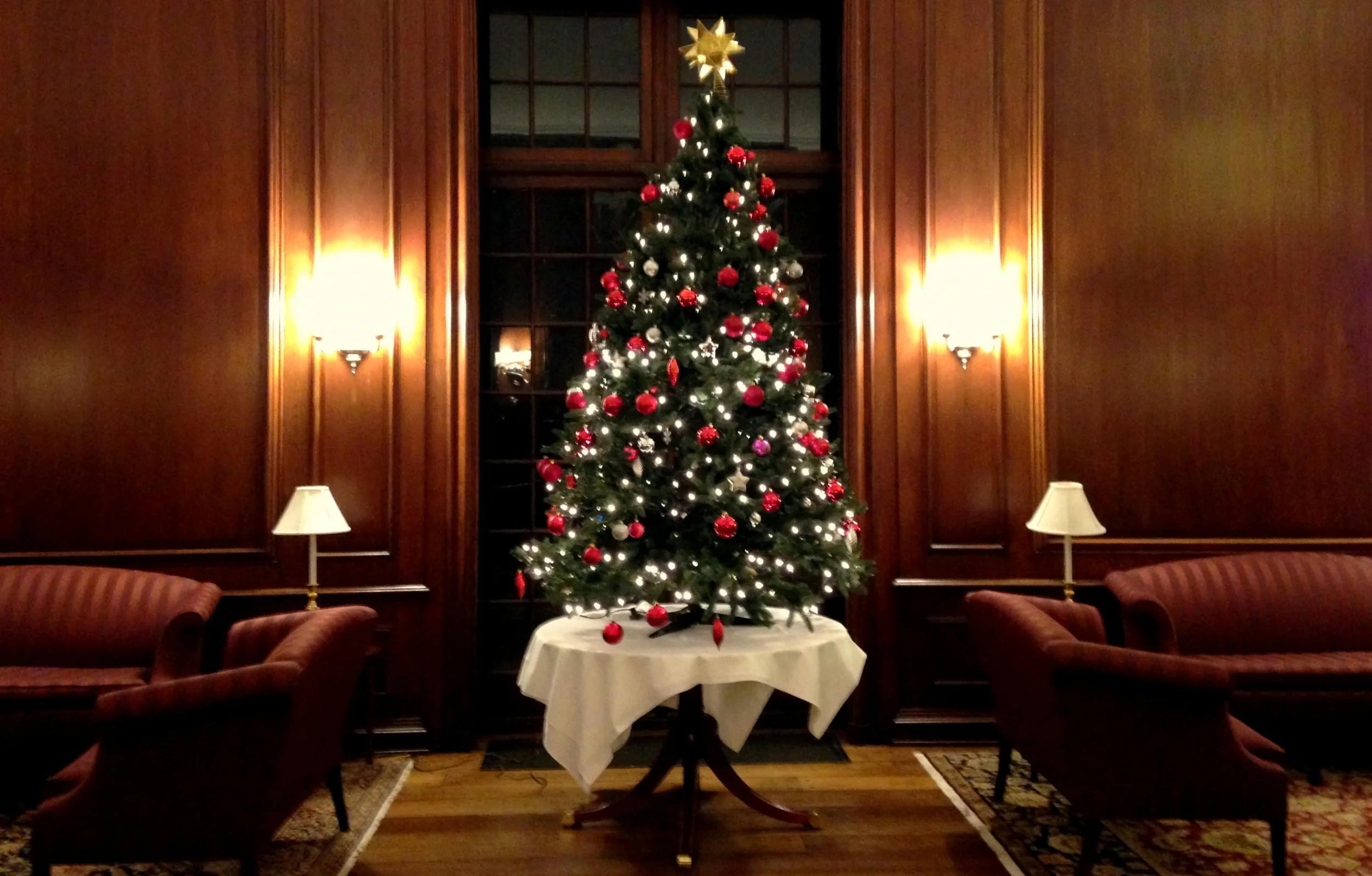 The tree in the common room at Silliman College, Yale University - Source: Akhil Sud SM '16