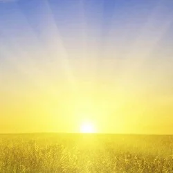 Sun Protection Naturally