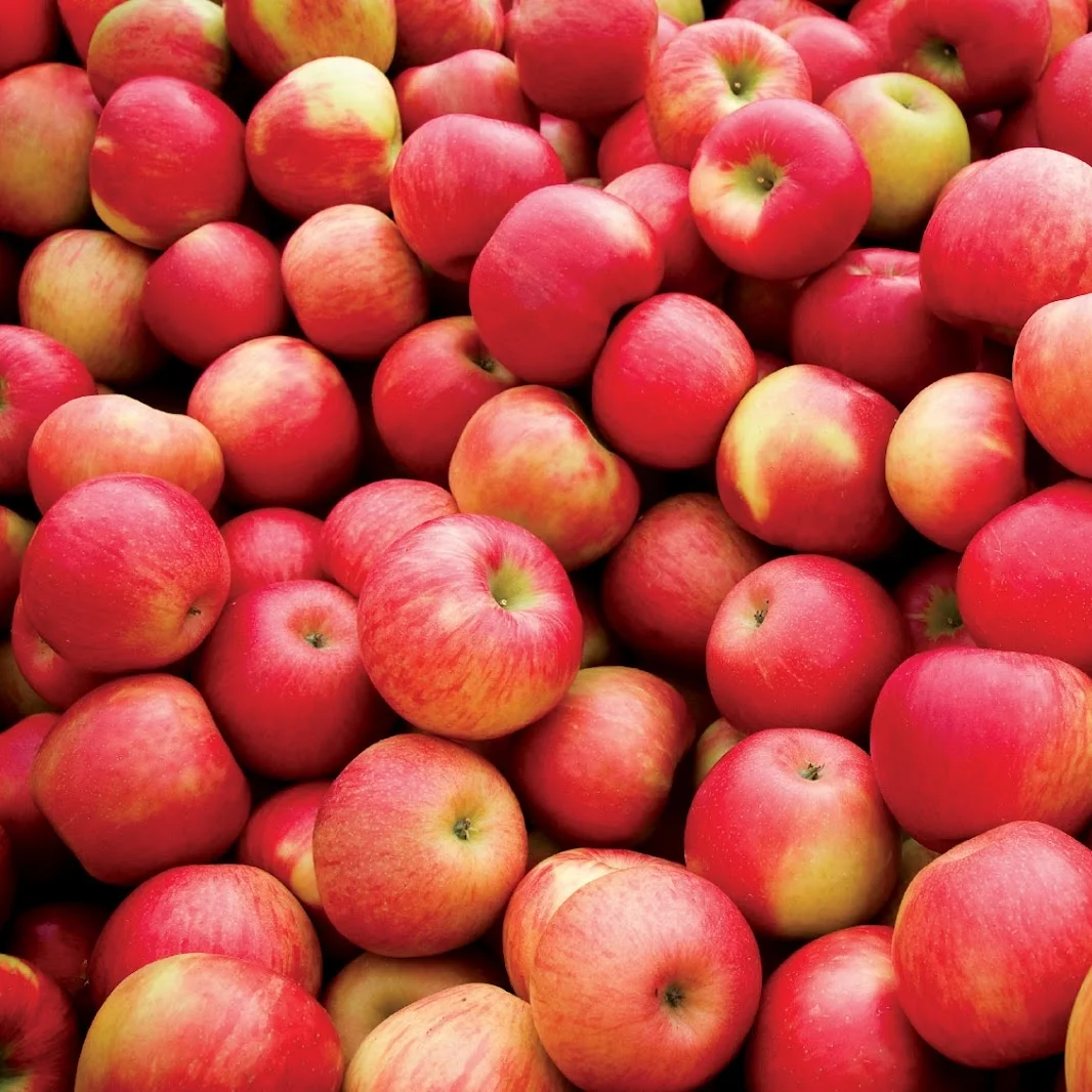 Zachary's November Produce Report 