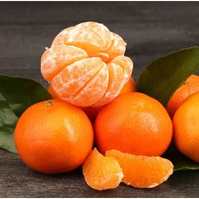 Nanaimo November Produce Report