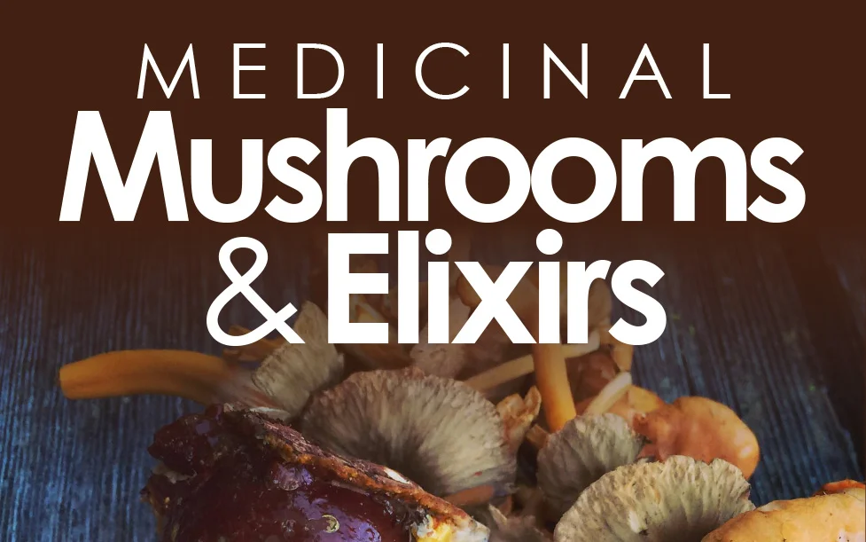 Medicinal-Mushroom-&-Elixirs---Pomme-Nanaimo---Nov-16,-2017---11x17-Poster--rev-(1)mini.jpg