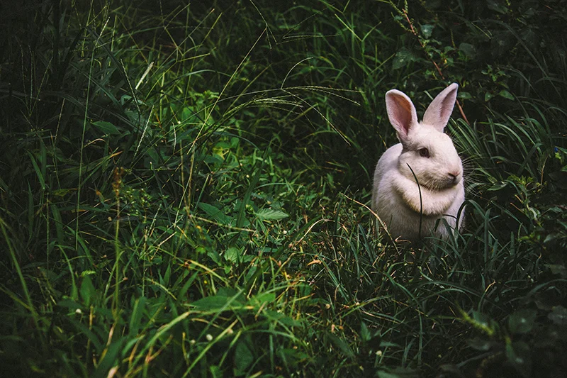 victor-larracuente-109942-unsplash.jpg