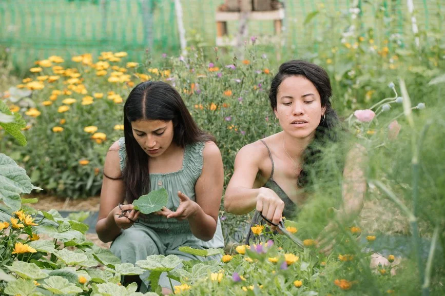 Earth Day: 10 Daily Things You Can Do