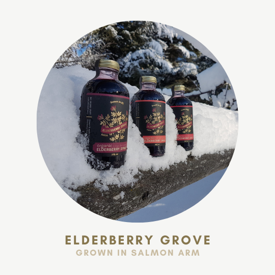 Elderberry grove .png
