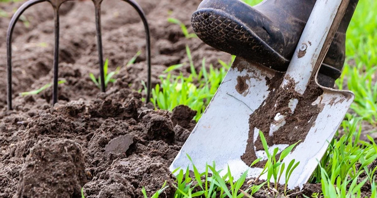Let’s Get Growing! Spring Gardening Prep