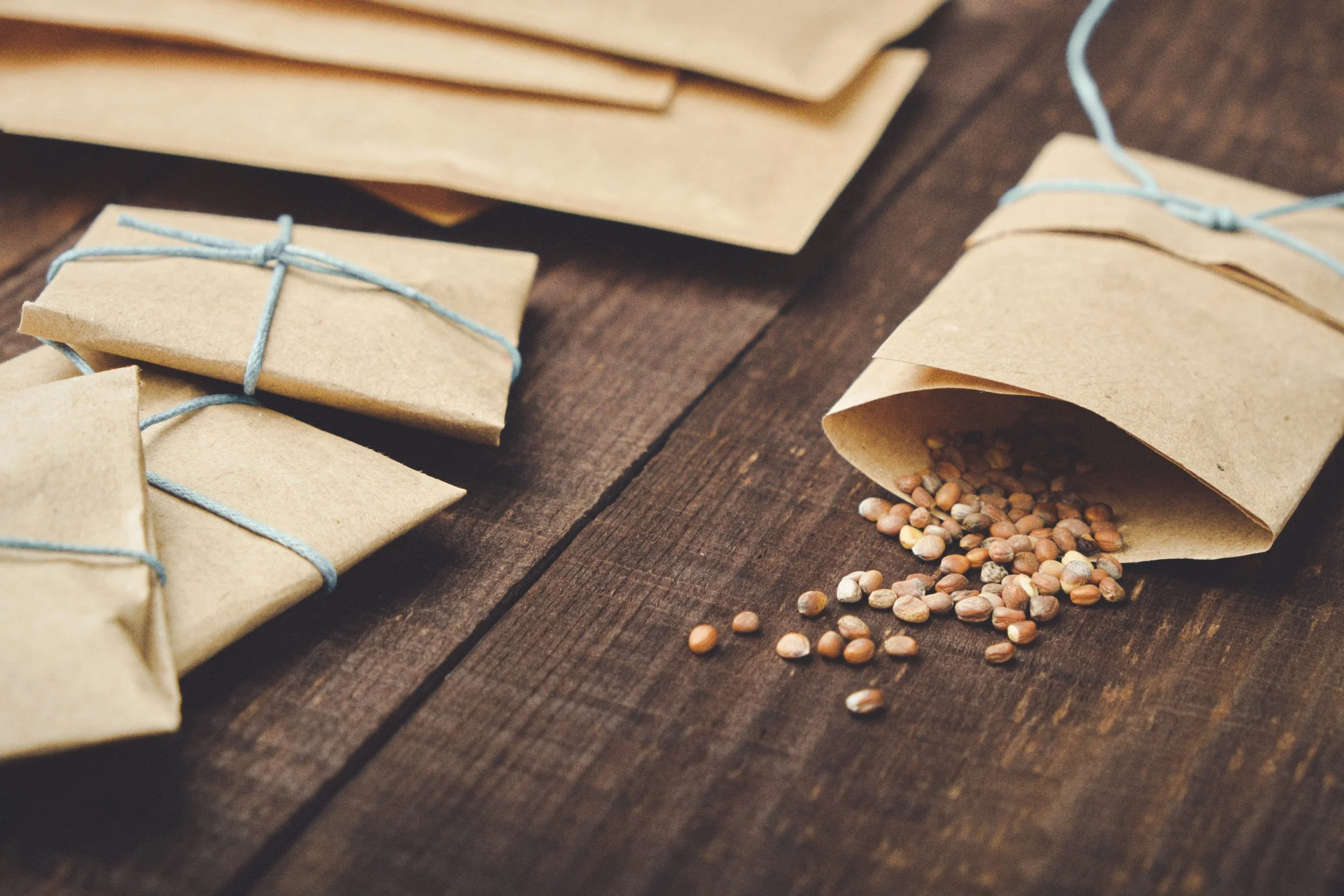 Saving Seeds From Your Garden