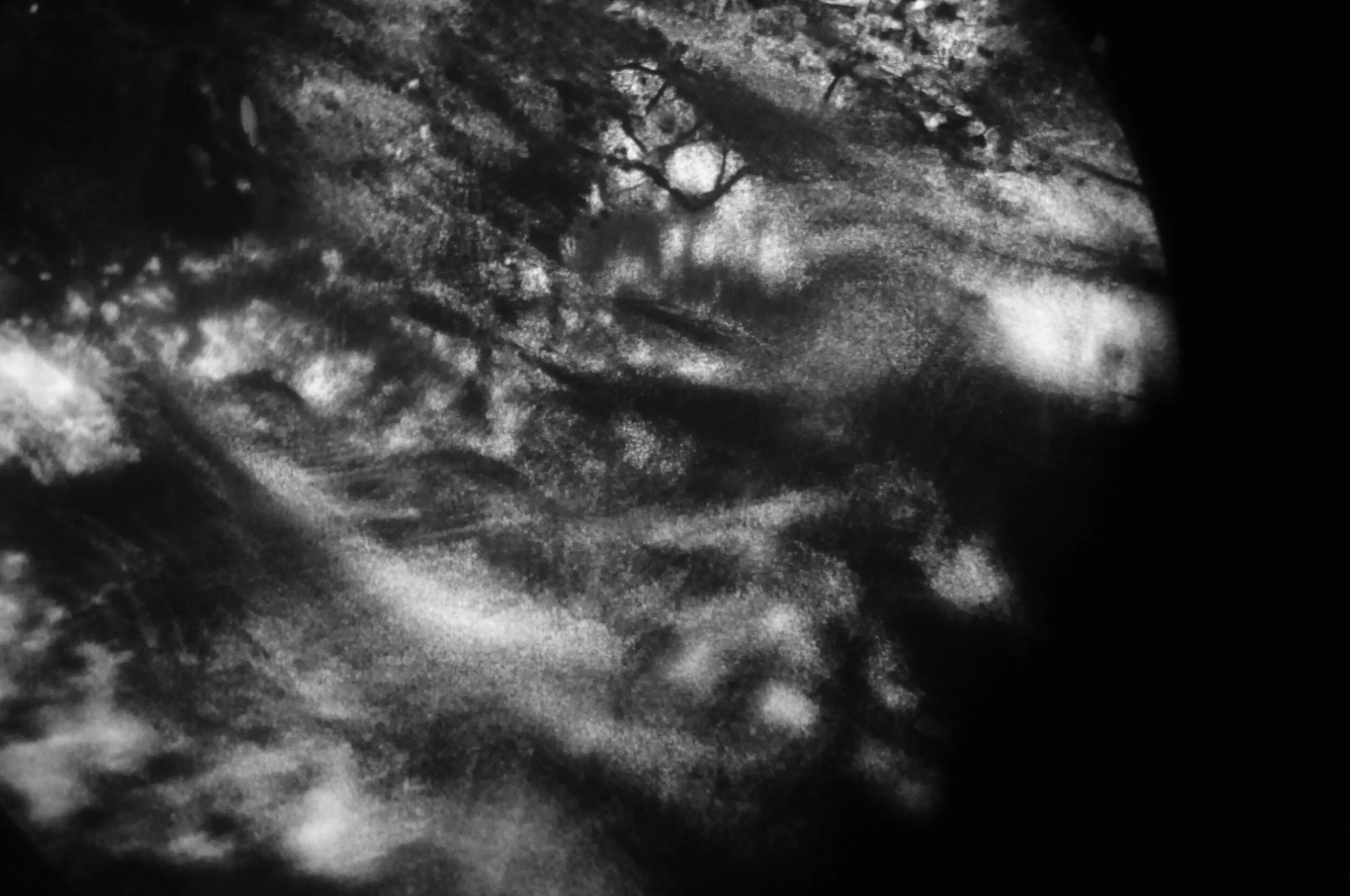 5875721515_65e8c791d6_o.jpg