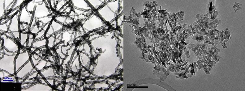 Figure 1: TEM images of MWCNTs (left) and ANPs (right). MWCNTs photo credit: Cheap Tubes, Inc.