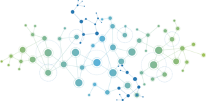 Network-diagram.png
