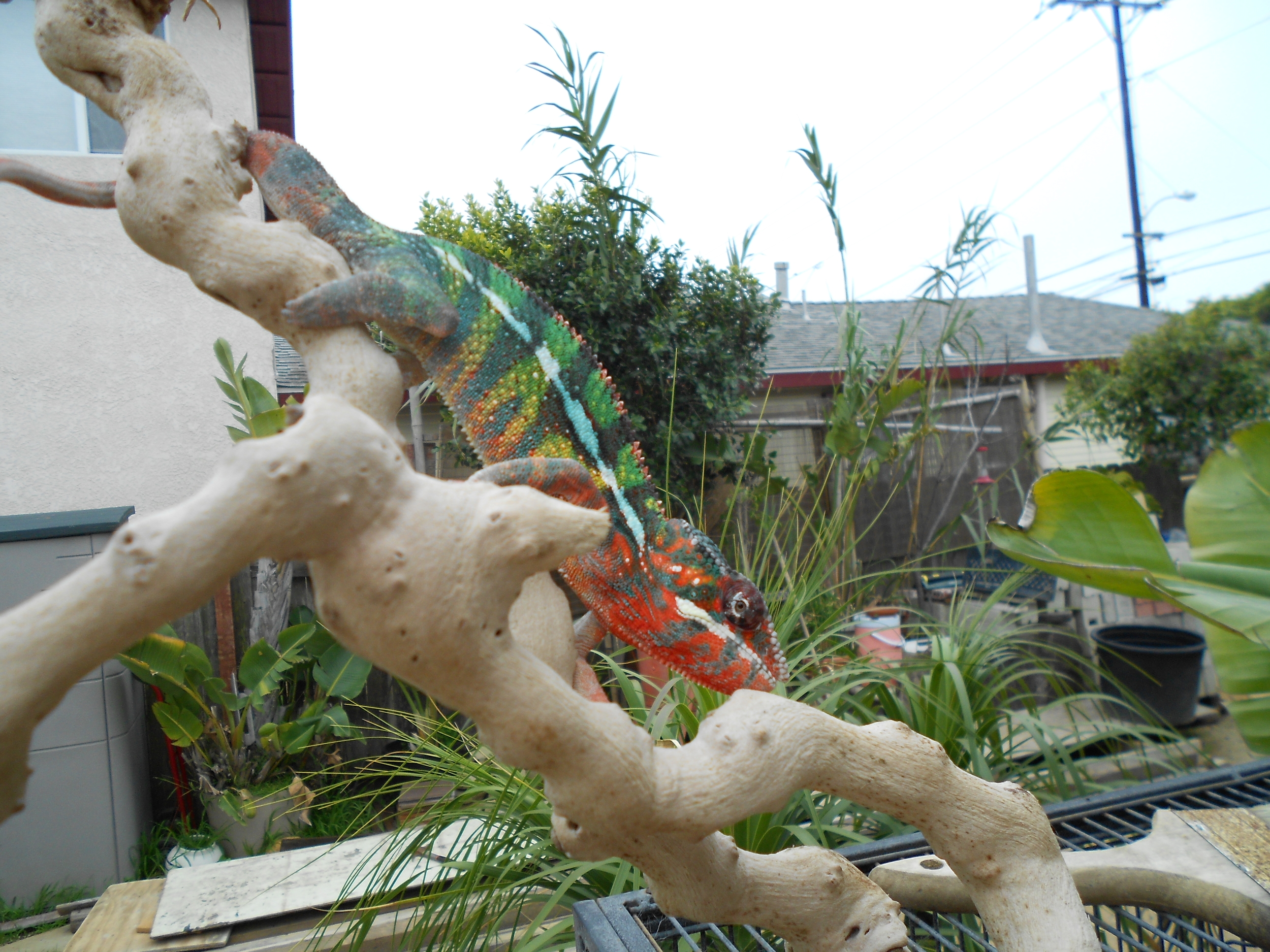 DSCN0101.JPG