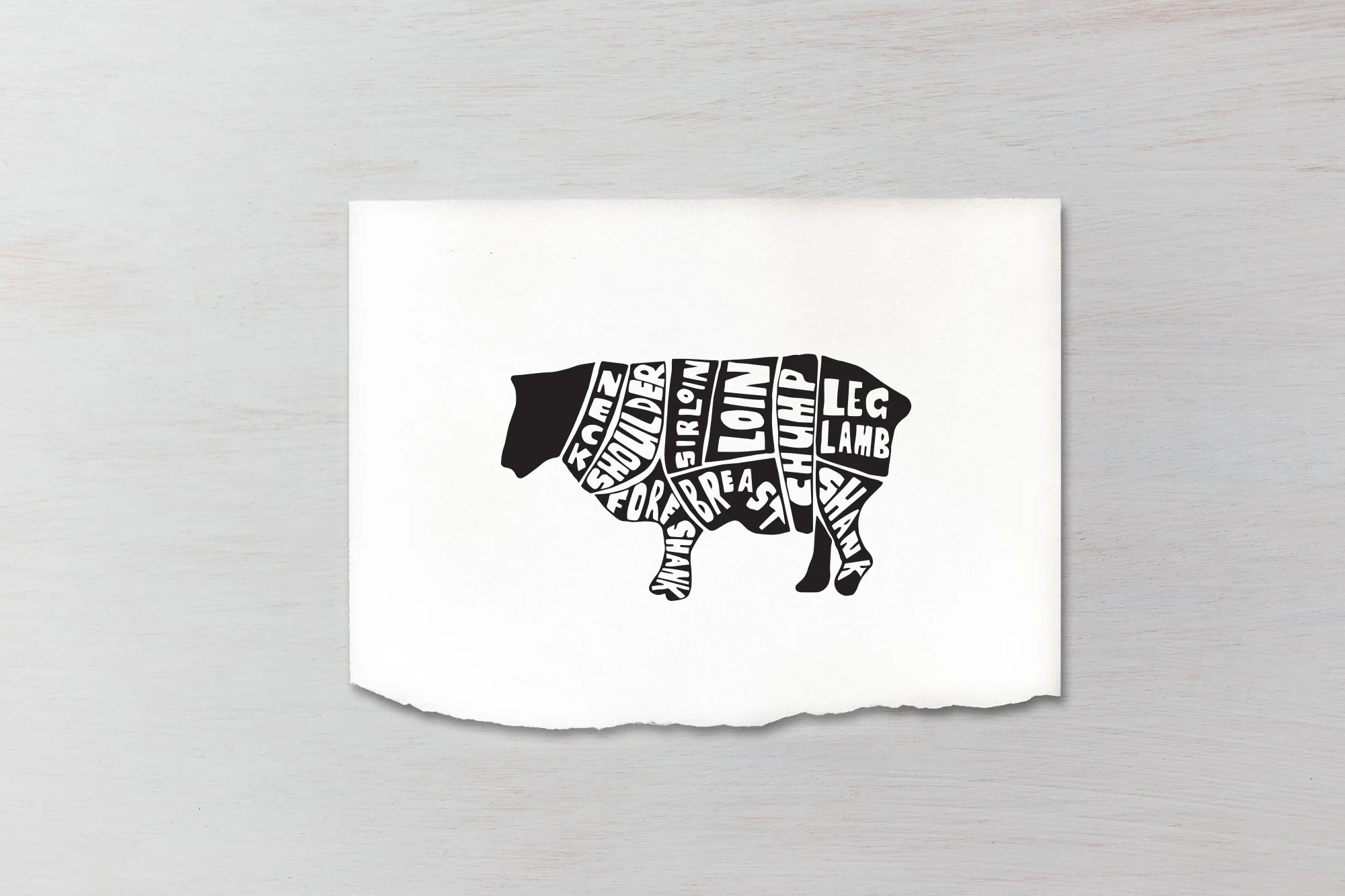 LAMB_ILLO_2.jpg
