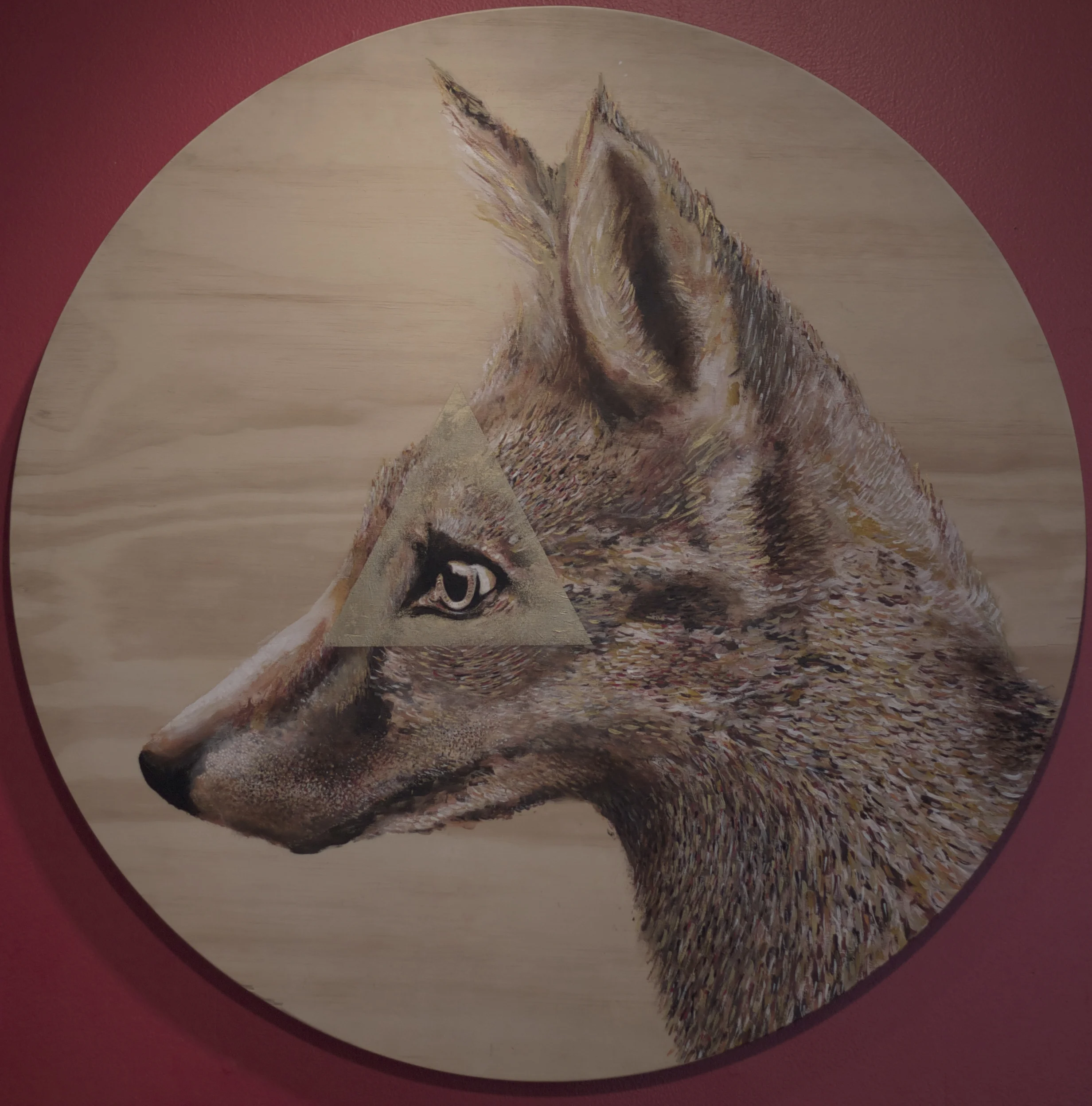 thecuriousfox-TRI-2013.jpg