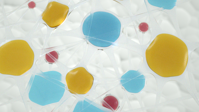 Chromatophores.png