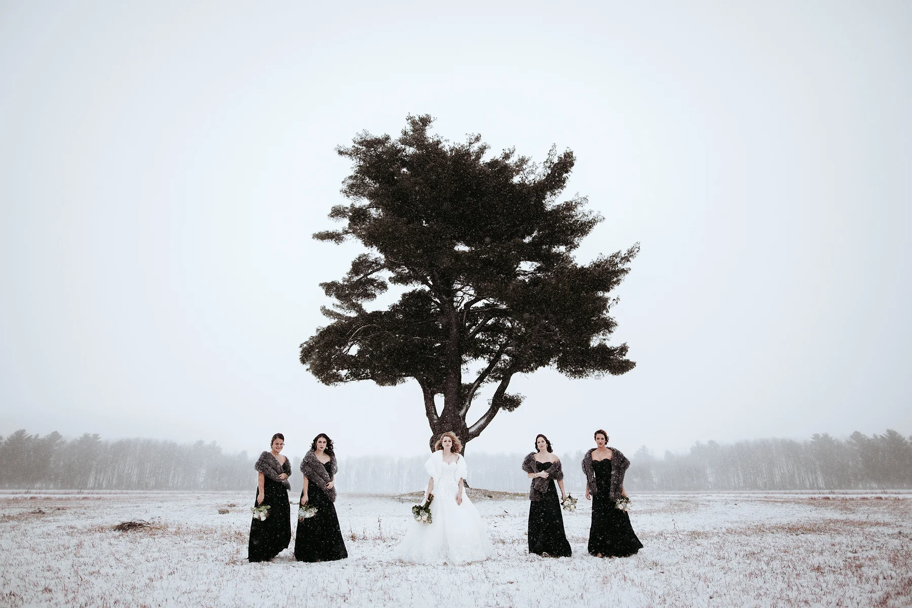 mariage-hiver-cérémonie-service-photographe-photo-photographie-professionnel-victoriaville-victo-les-maximes-lesmaximes-portrait-mariée-mariée-robe-campagne-extérieur-emplcement-région-forfait-de-service-quebec-studio-séance.jpg
