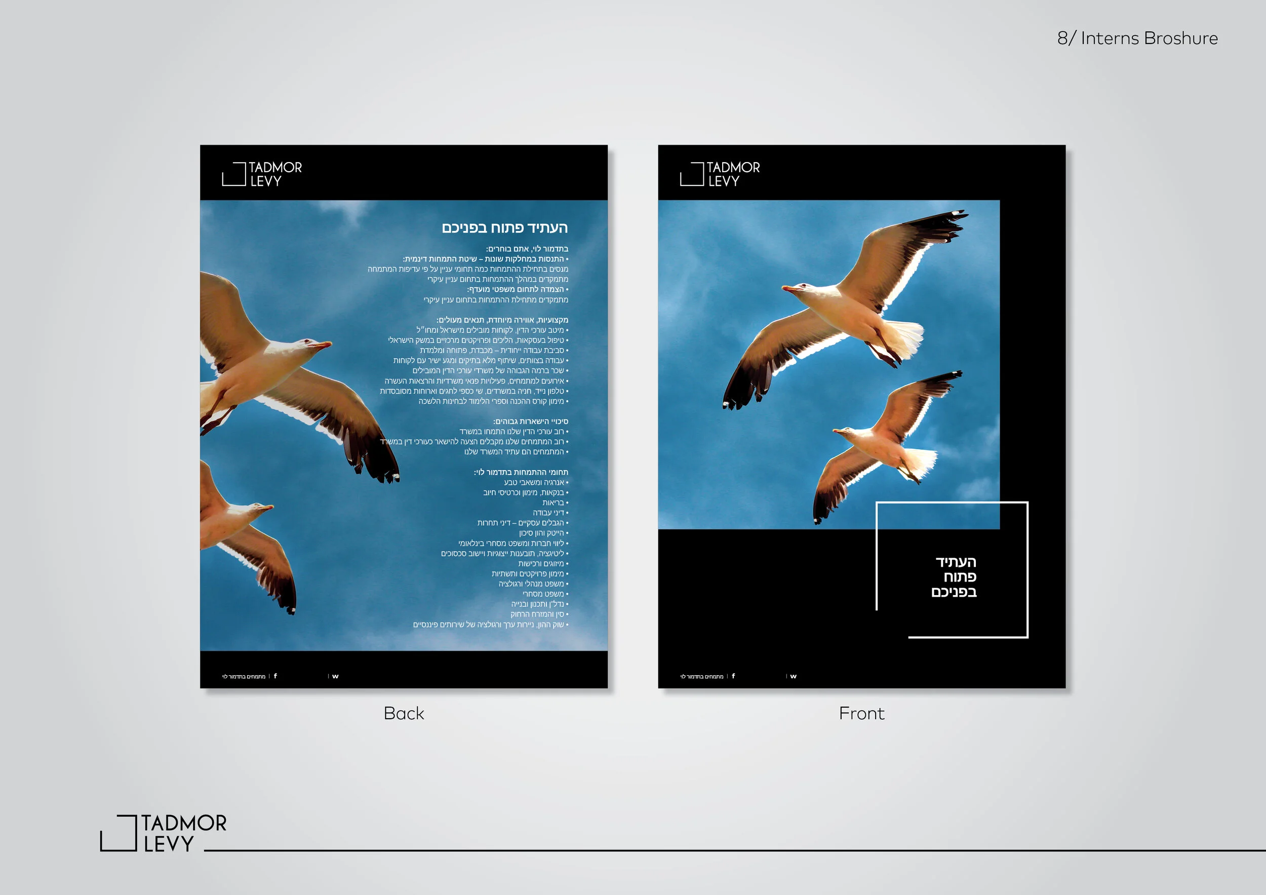 tadmor branding kit12.jpg