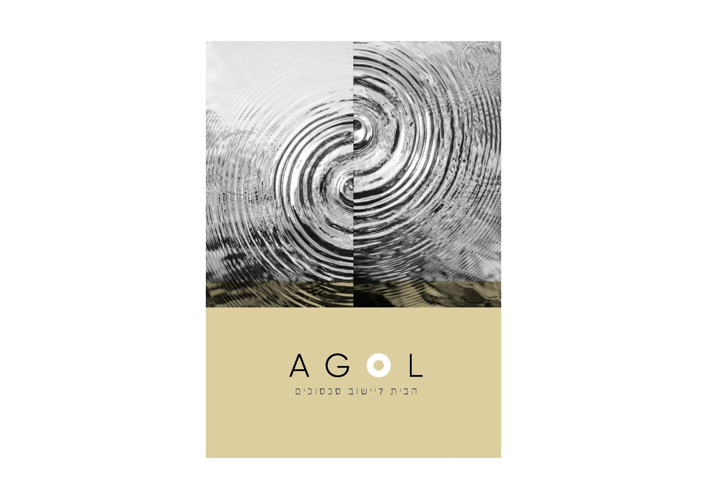 agol branding prez_Page_24.jpg