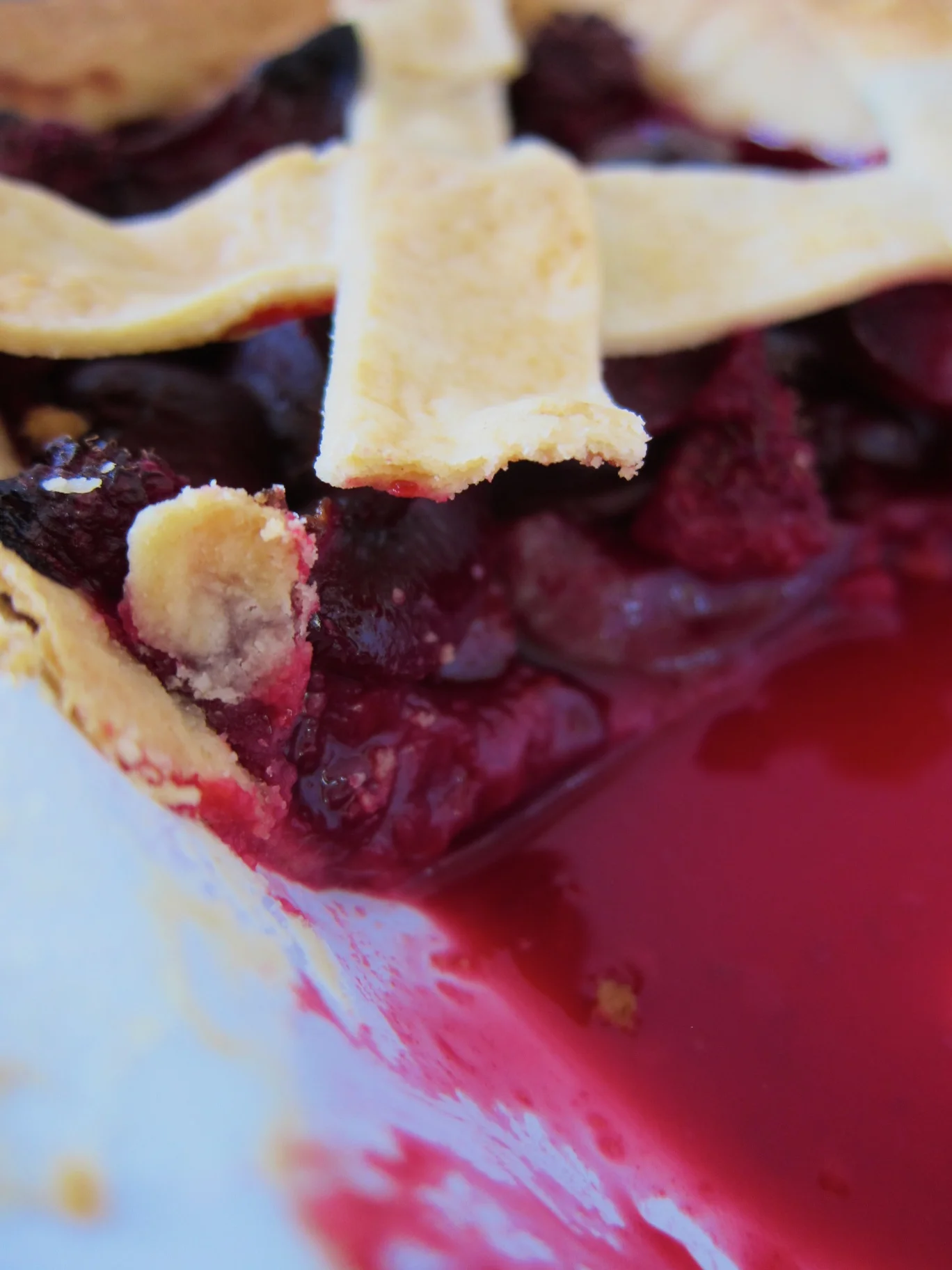 plums_06.jpg