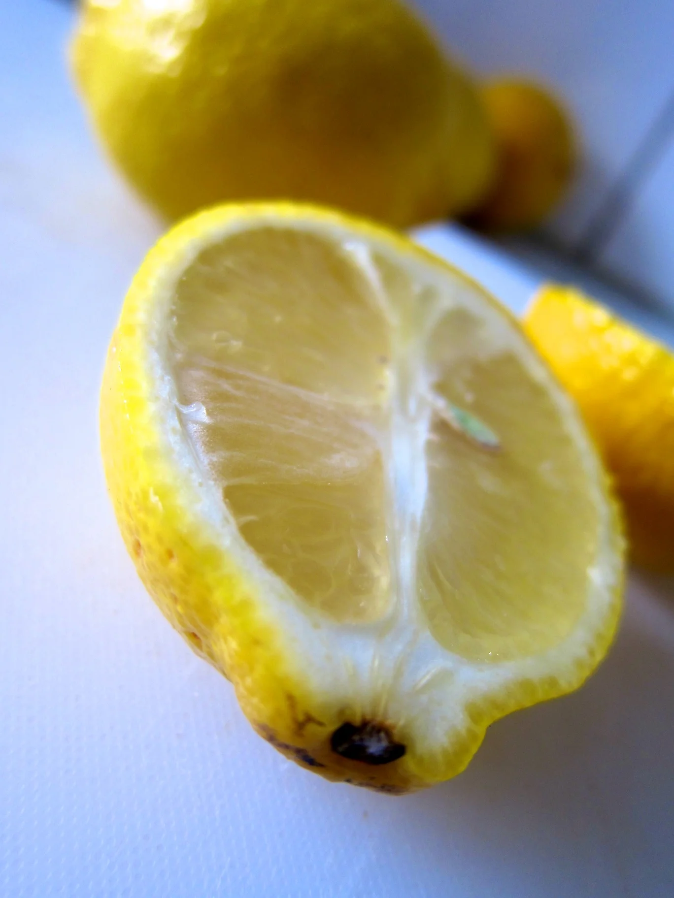 01 Lemon.jpg