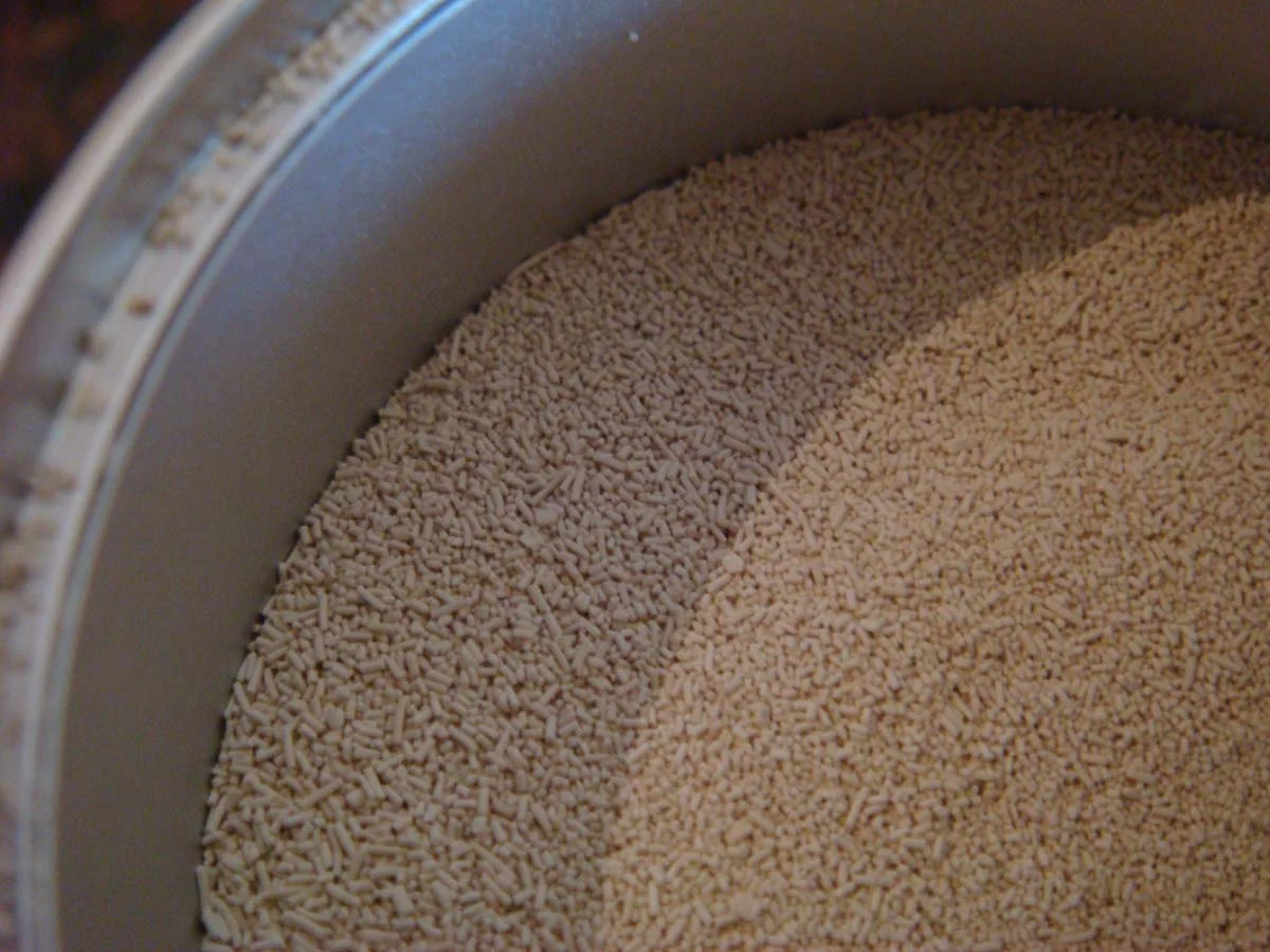yeast2.jpg
