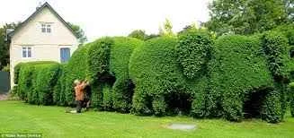 13.05.2014 - Gartenvortrag: Dauerschön und pflegeleicht
