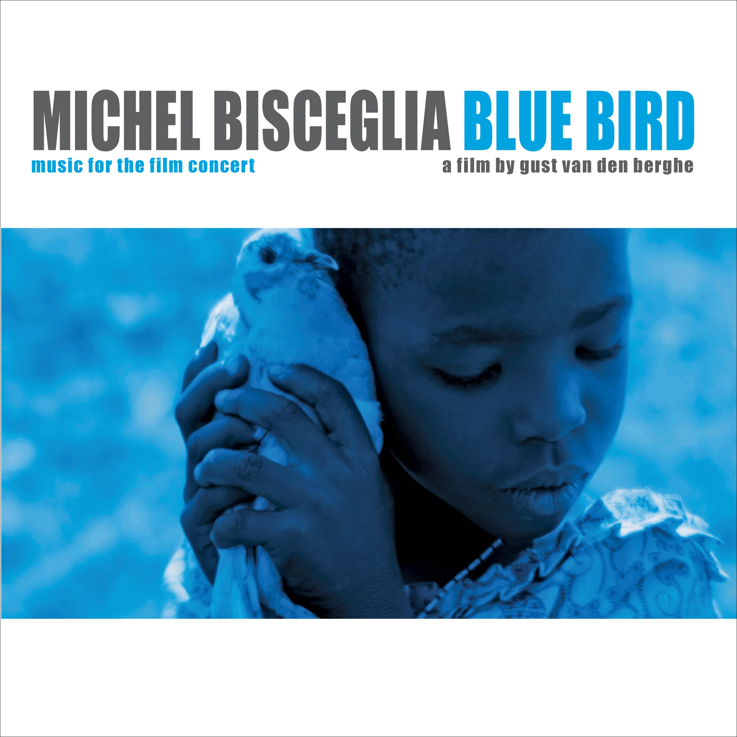 BLUEBIRD COVER with 2px border.jpg