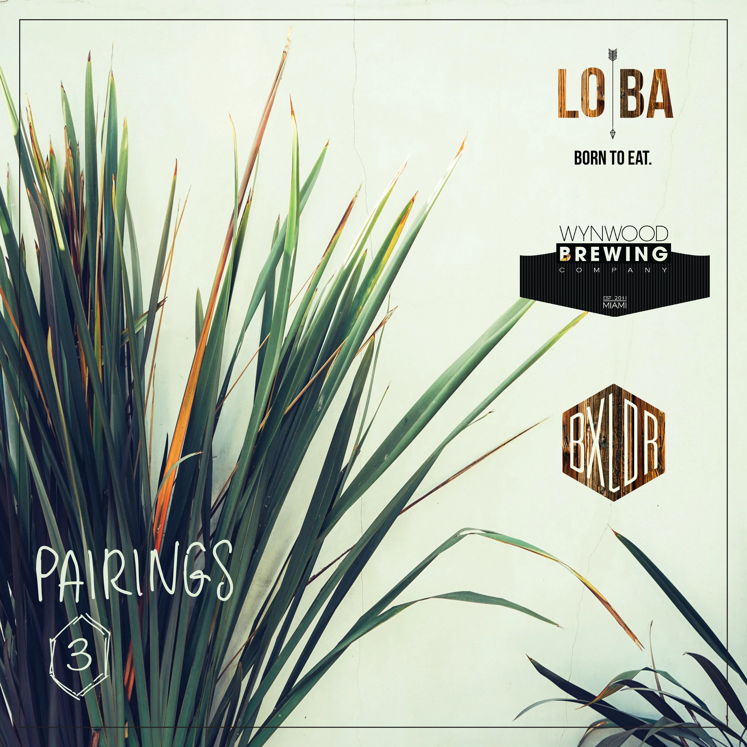 LOBA // Wynwood Brewing Co Pairing