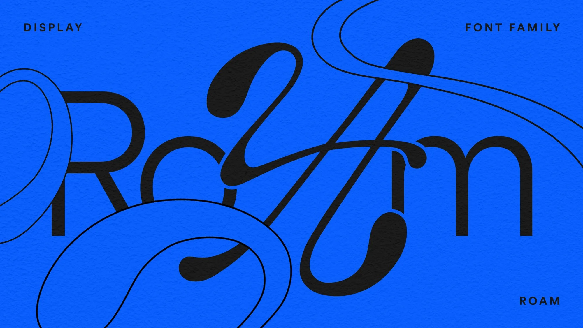 EFGY_VisualIdentity_Font-Roam.jpg