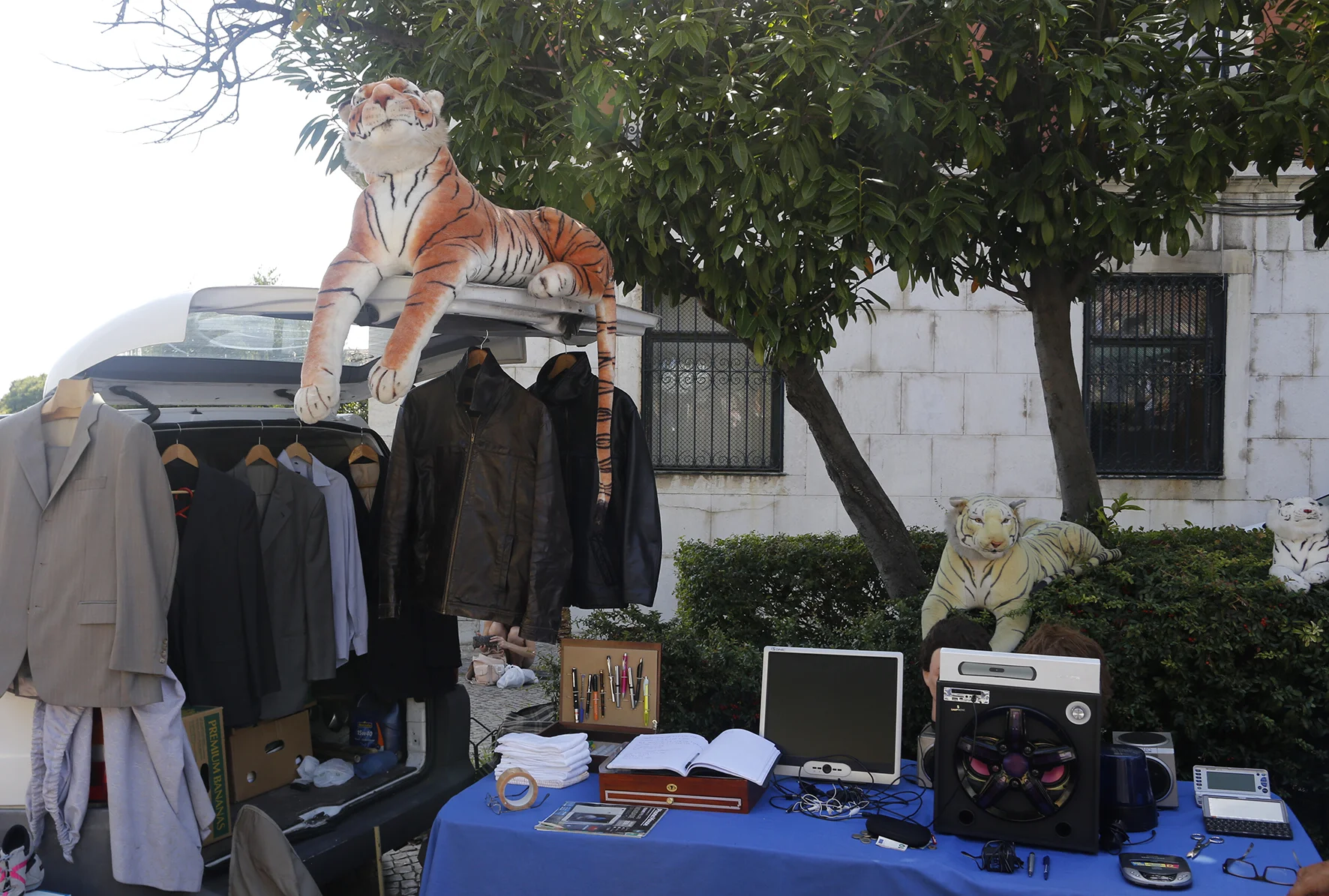 _MG_0132.jpg