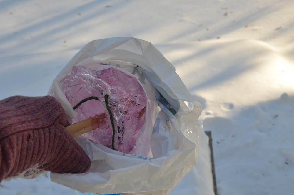  Freezing times vary with the weather. Pull the ice ornament out of the bag once frozen. 