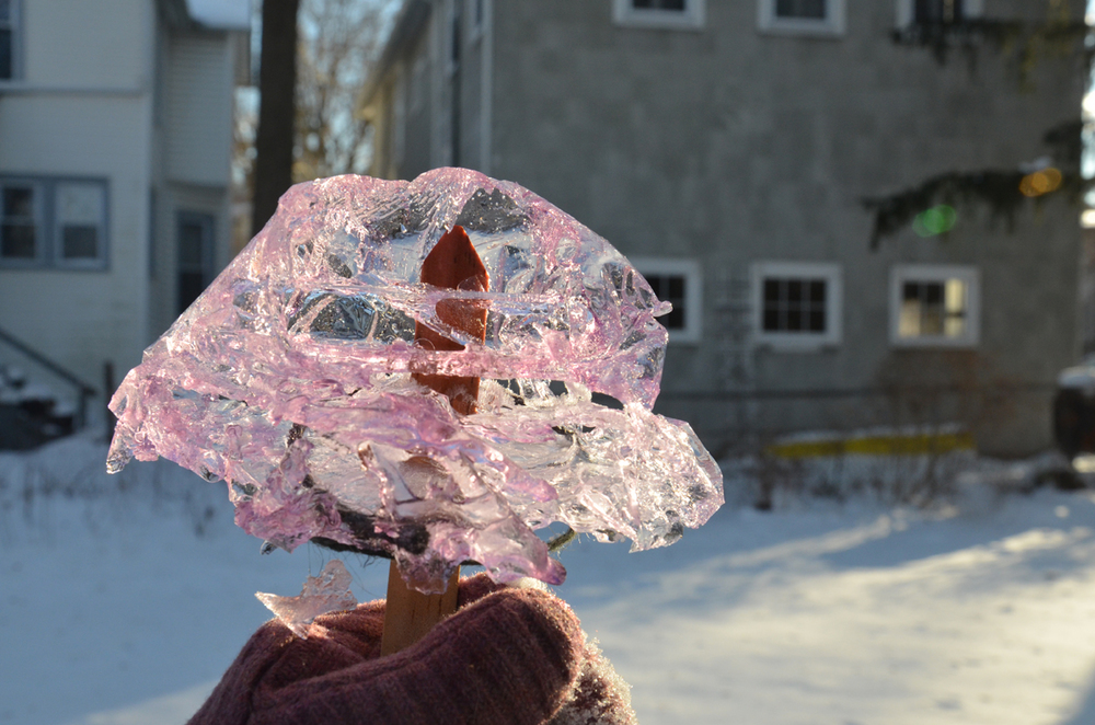 Ice Ornament