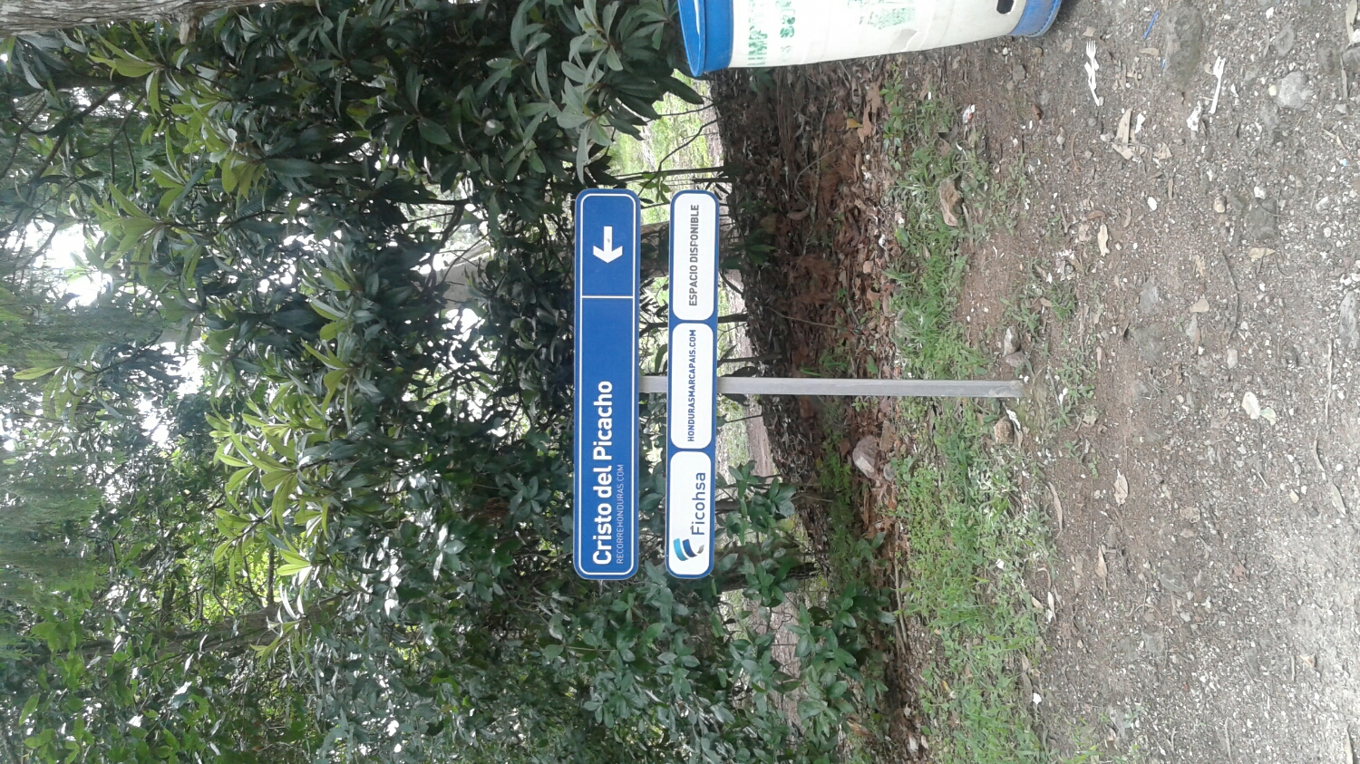 upload.jpg