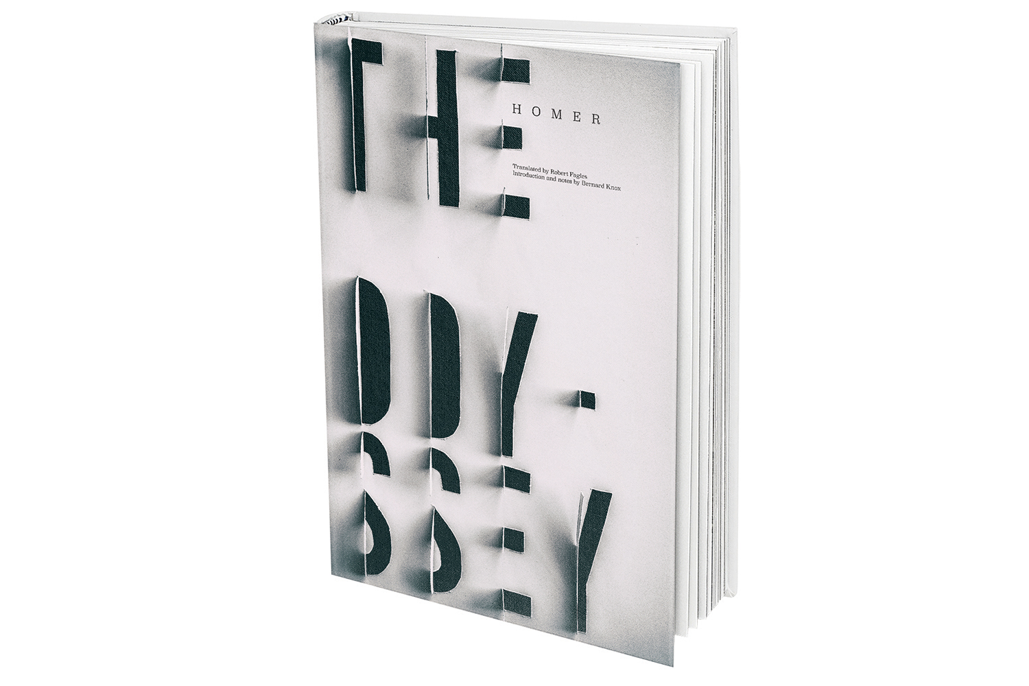 BookCover_0008_Hardcover Book MockUp4.jpg